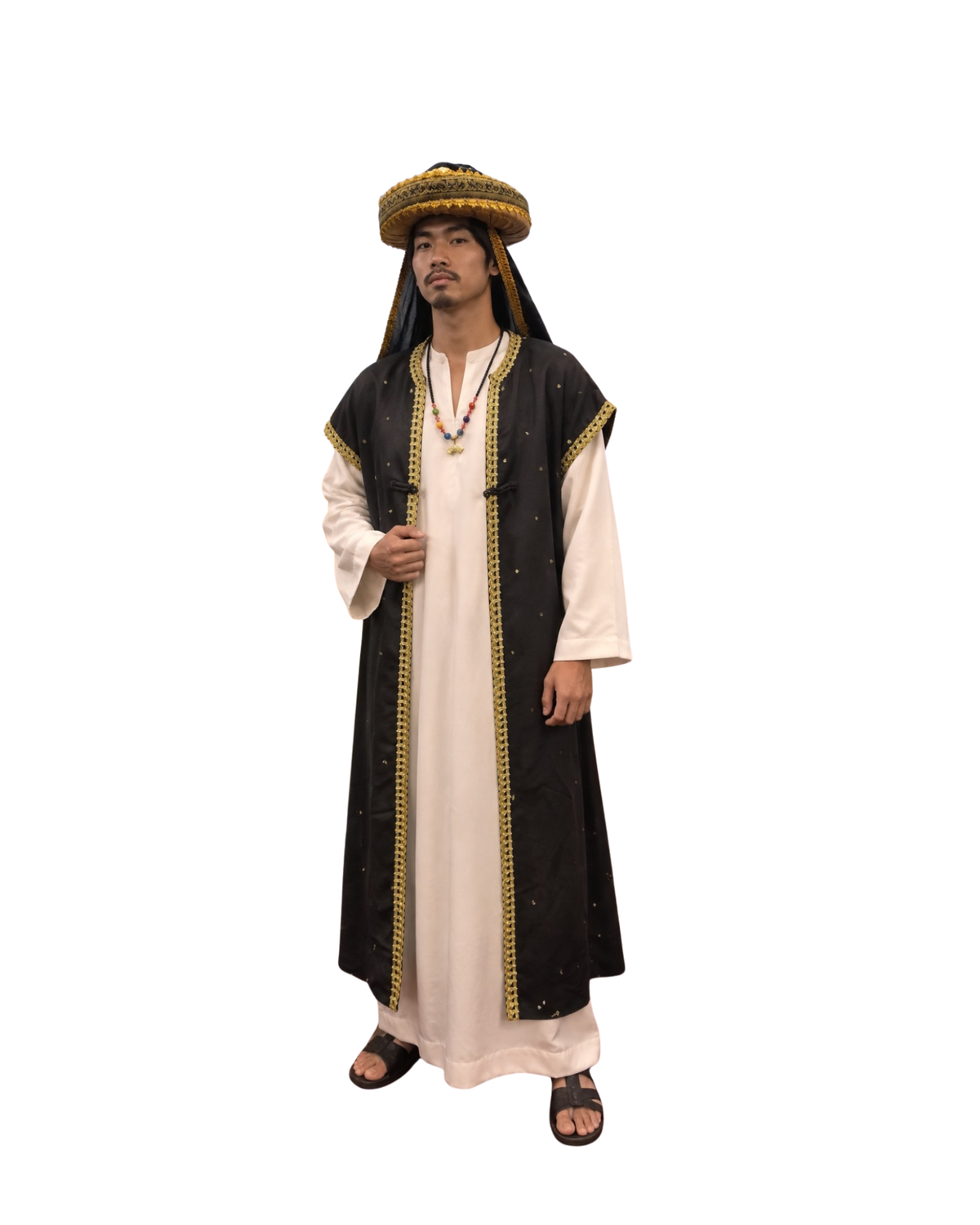 Arabian Male N08