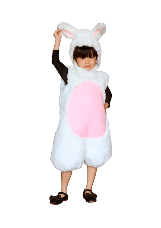 Bunny K-AML01
