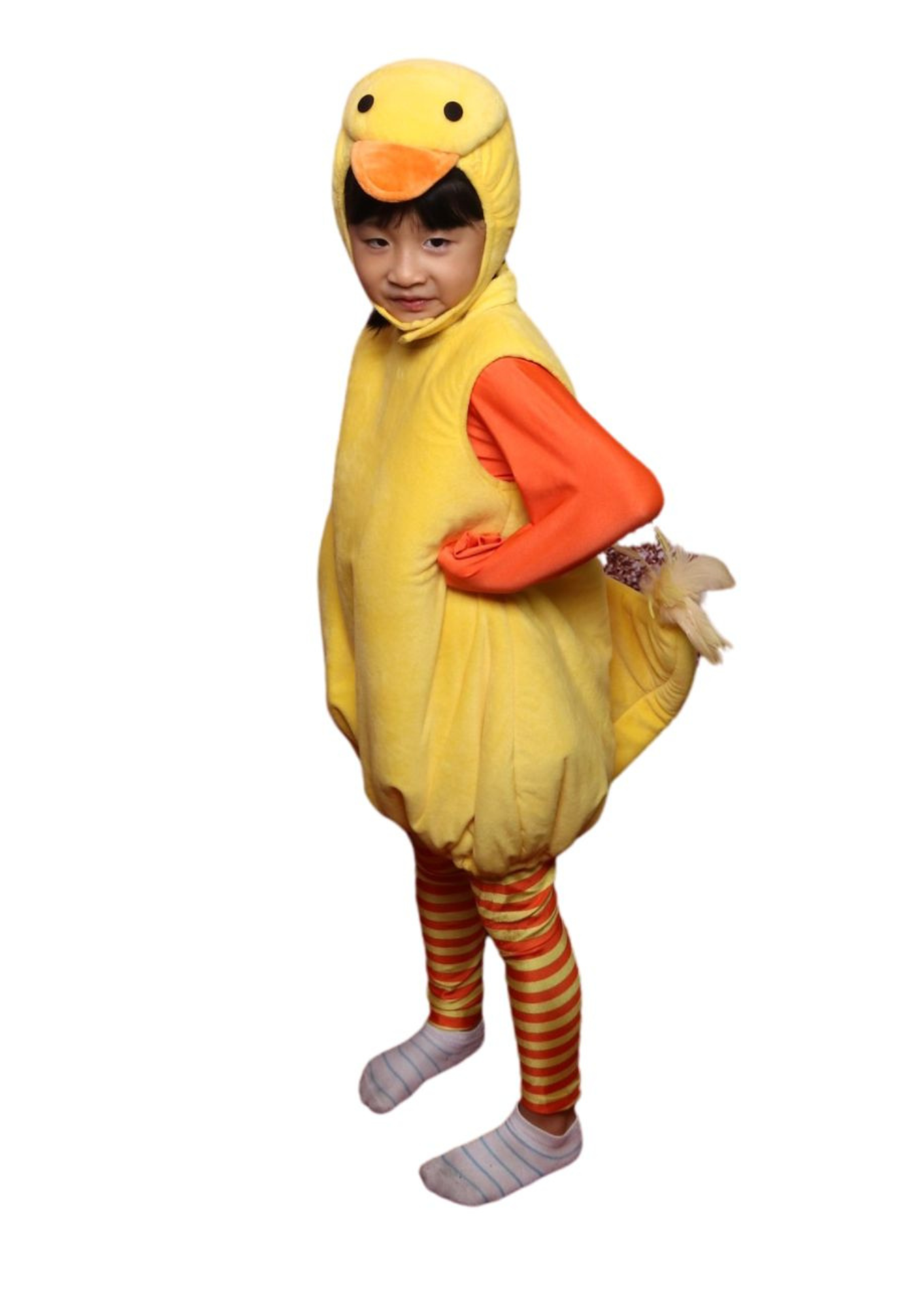 Duck K-AML01
