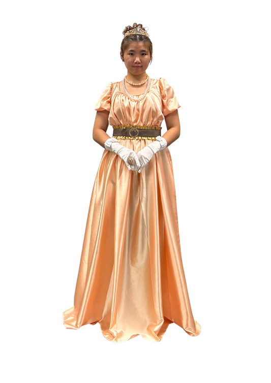 Victorian Dress W-VIC10