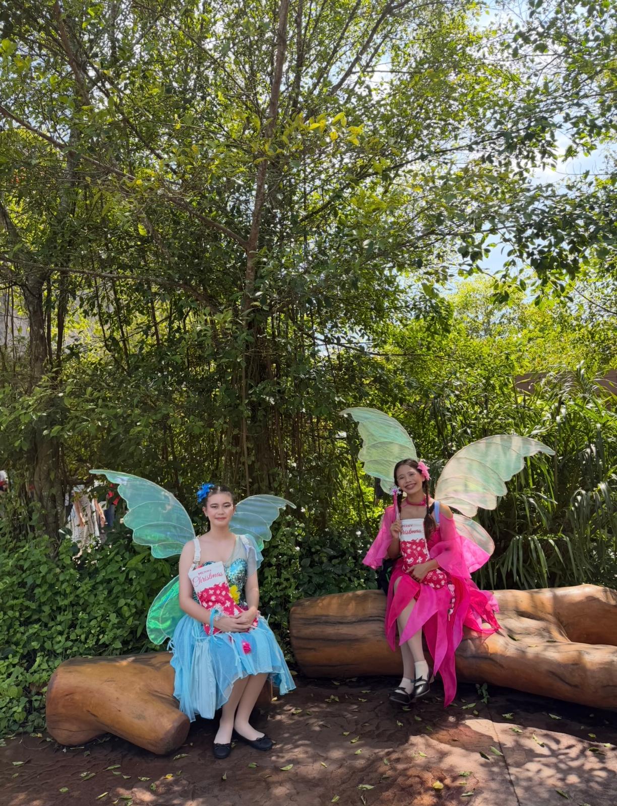 Fairy D07
