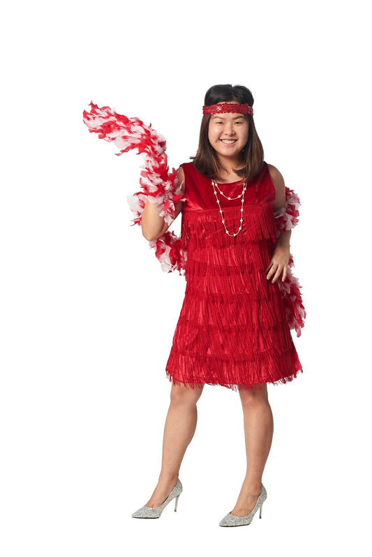 20s Flapper Dress N04