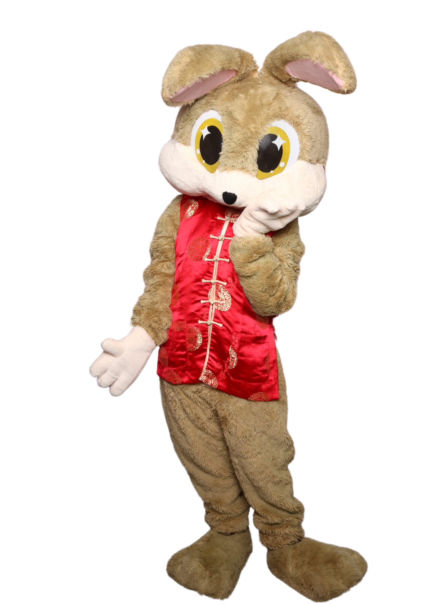 Maskot Kelinci D02