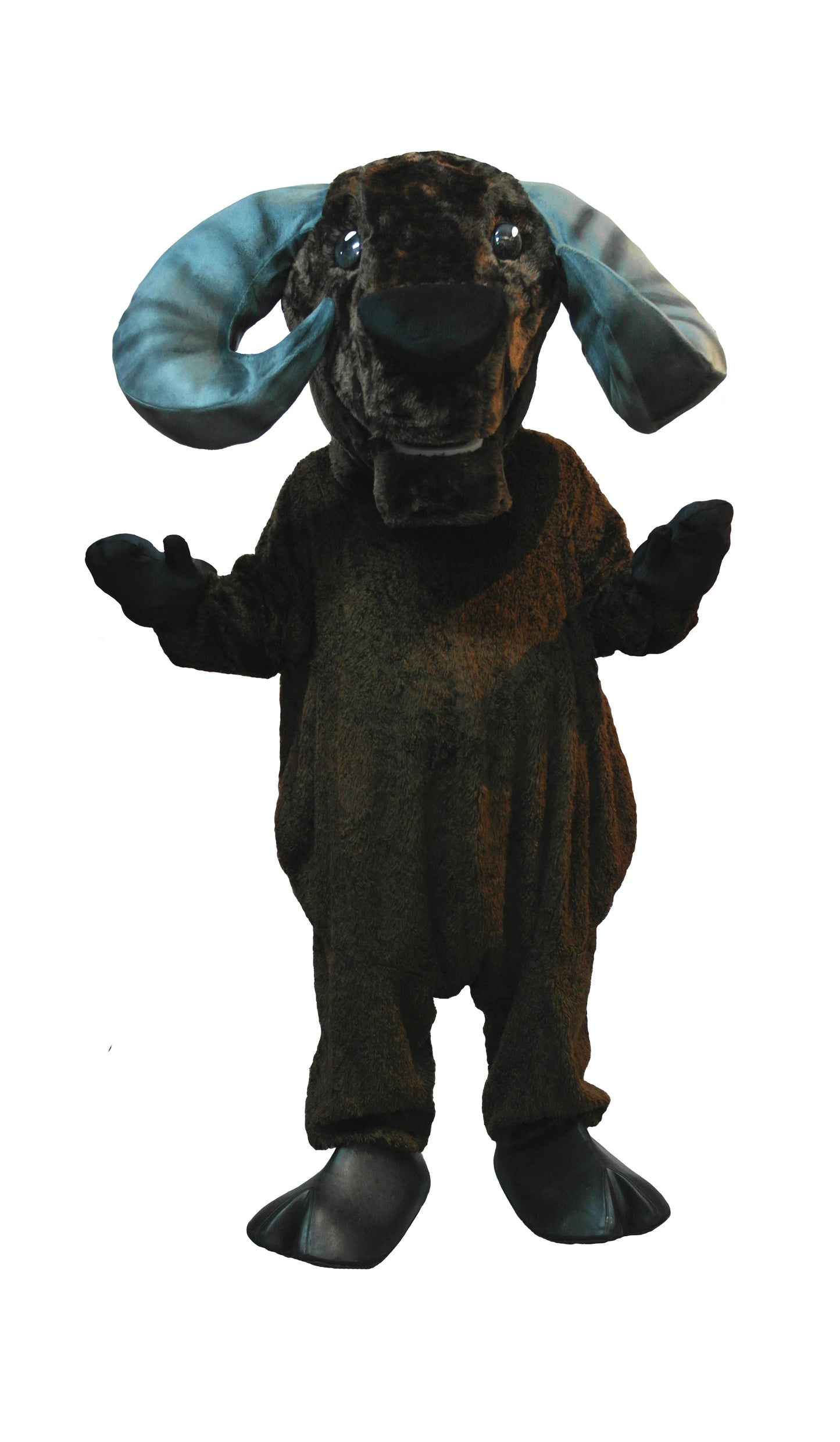 Bull D01