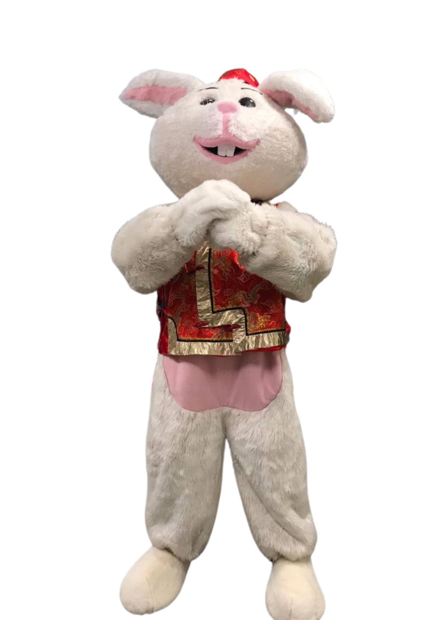 Bunny Mascot (Rabbit) D06