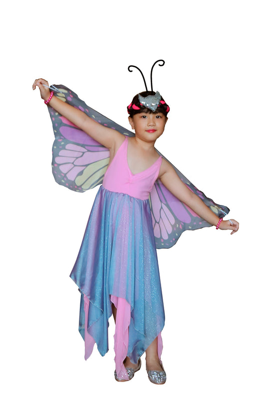 Butterfly K01