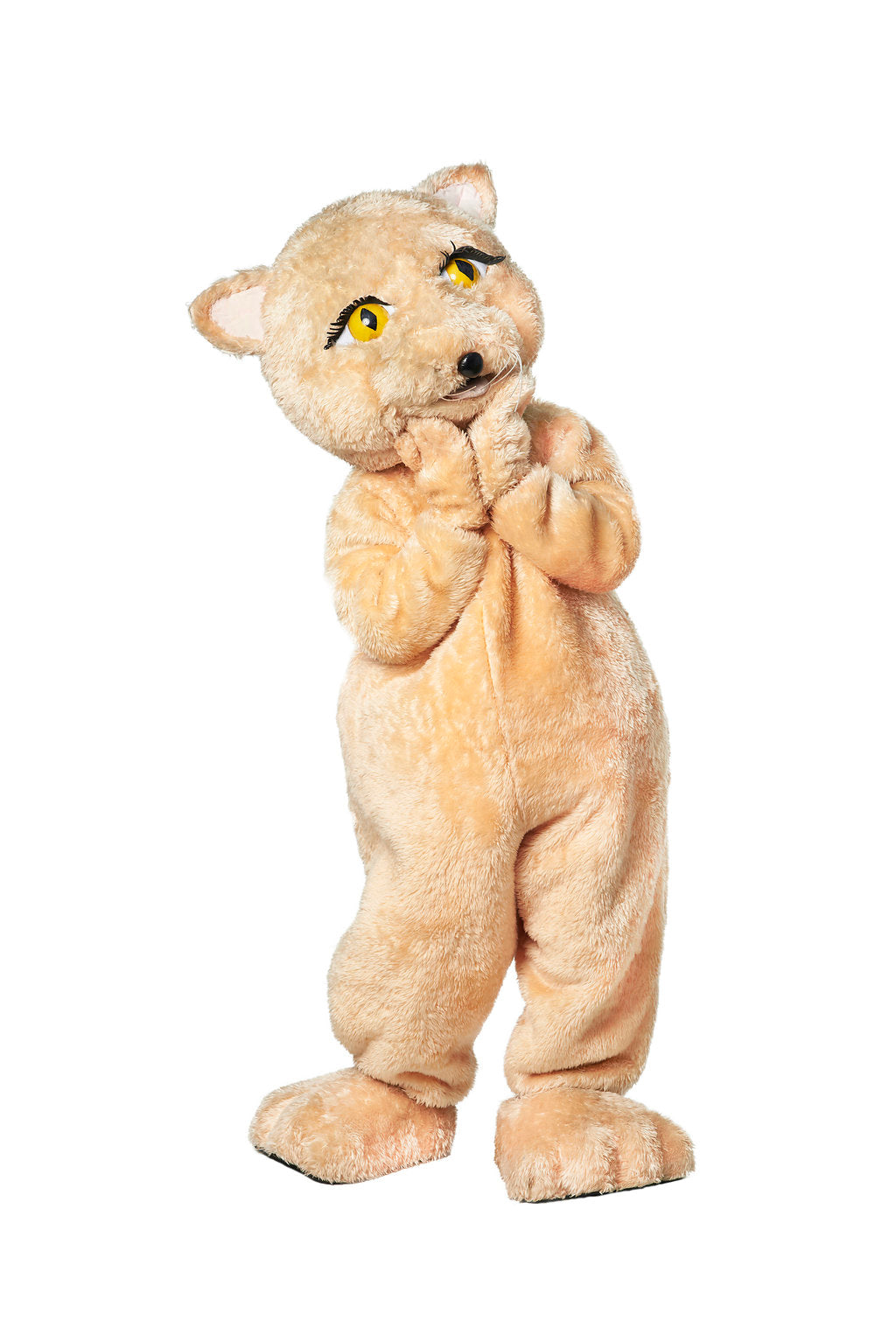 Cat D01