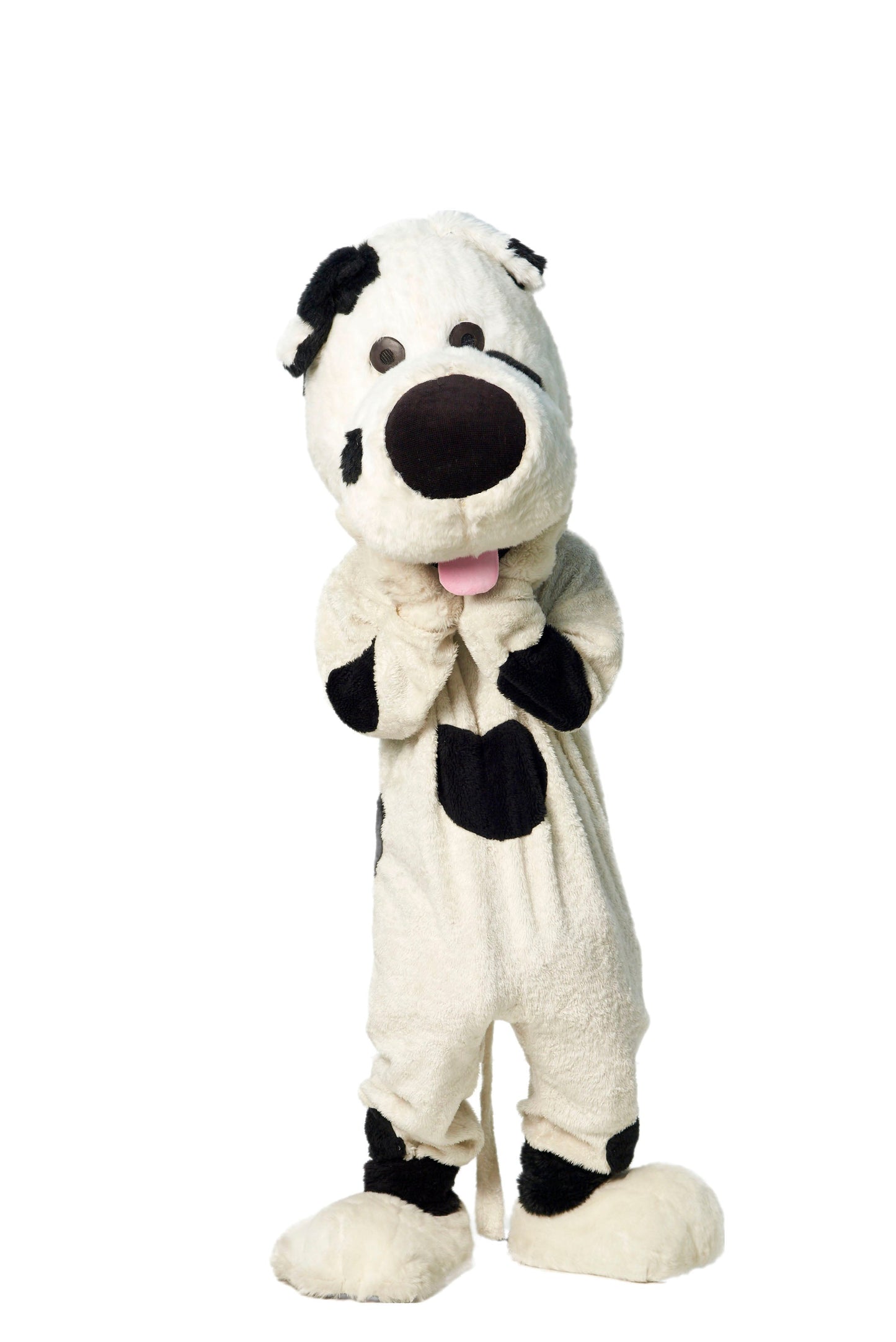 Anjing D01