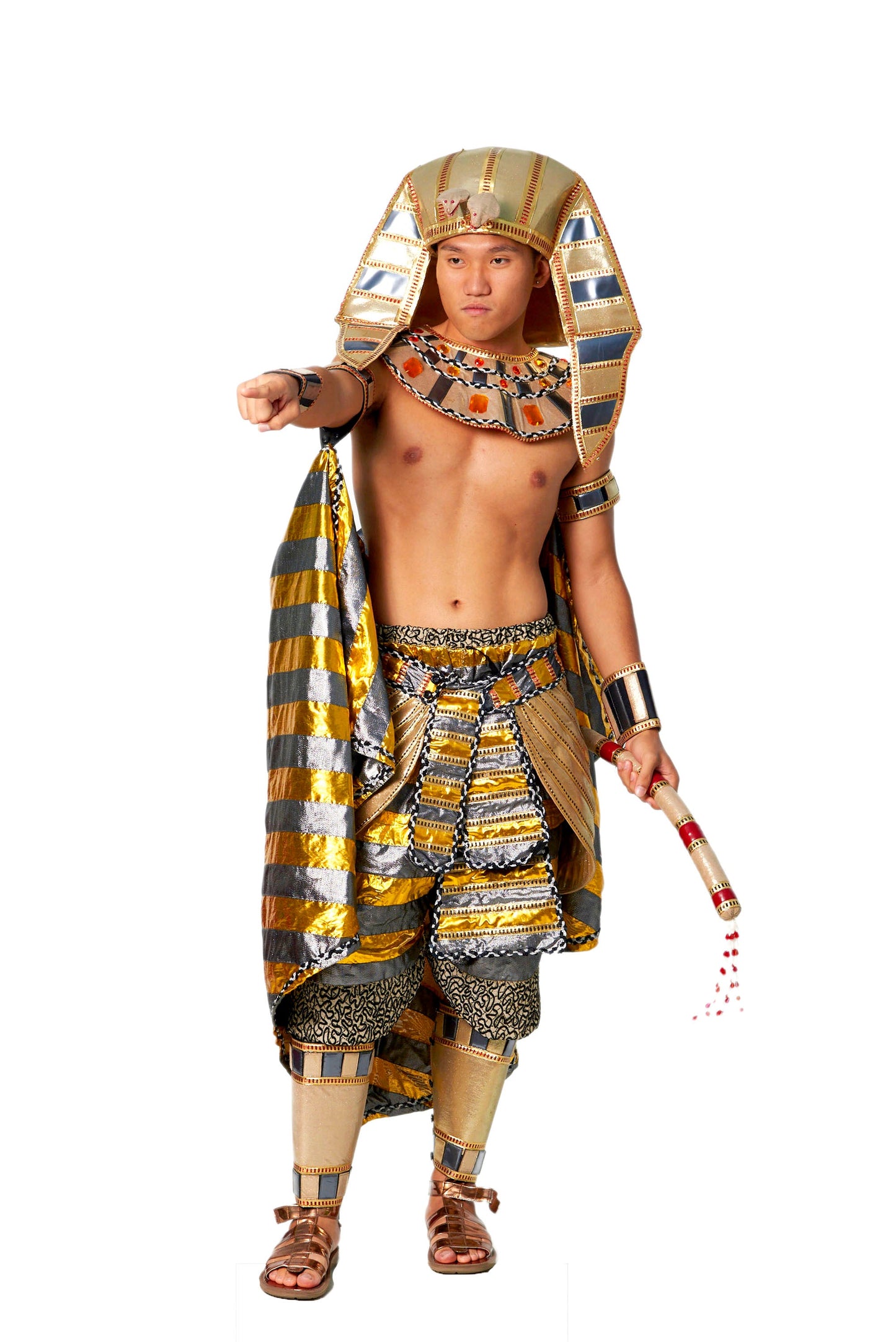 Egyptian Pharaoh N01