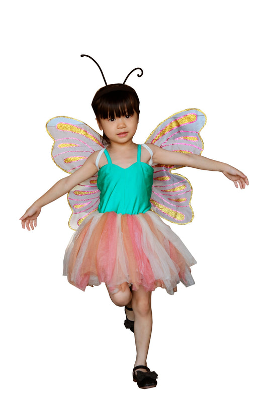 Fairy K04
