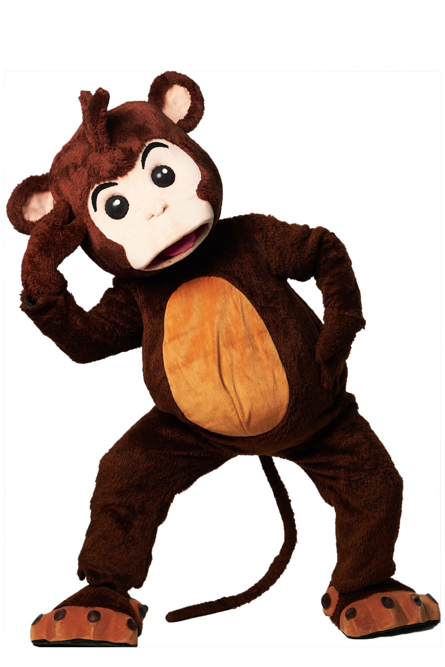 Monyet D01
