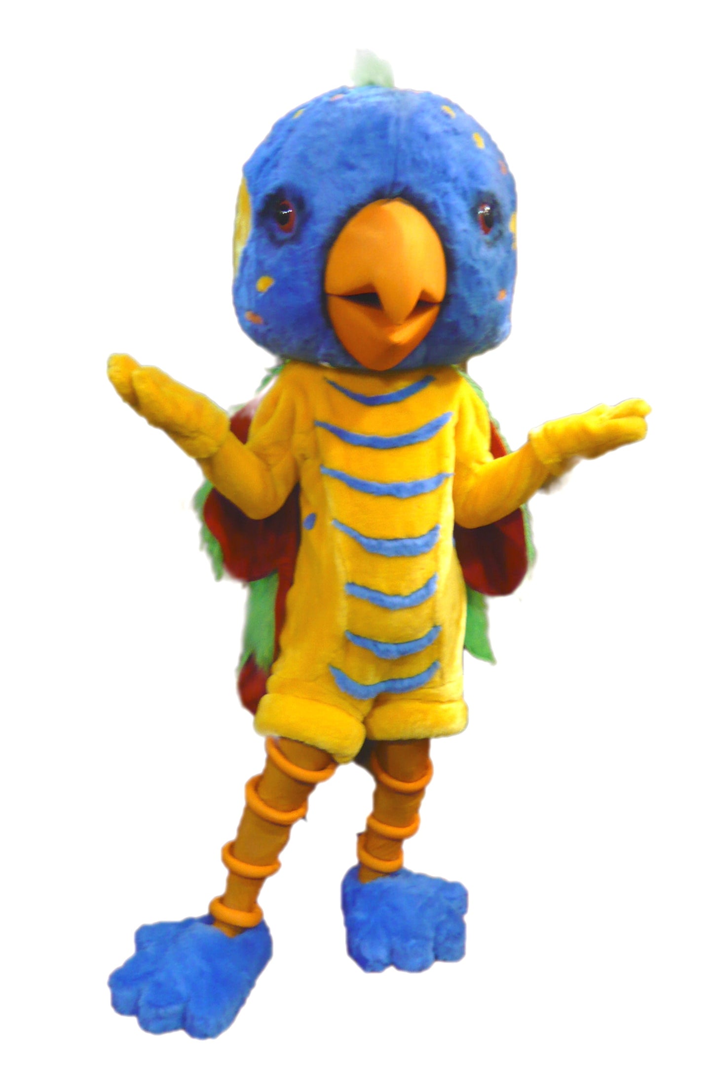 Burung beo D01