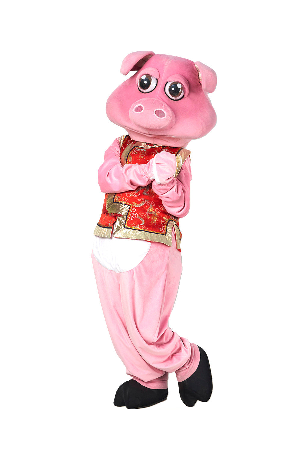 Pig D02