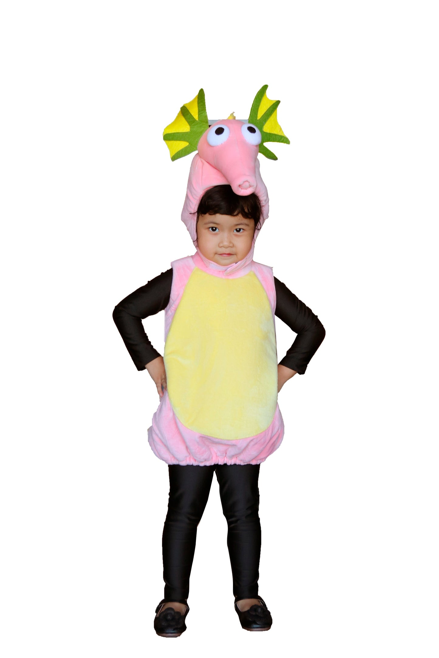 Sea Horse K-AML01