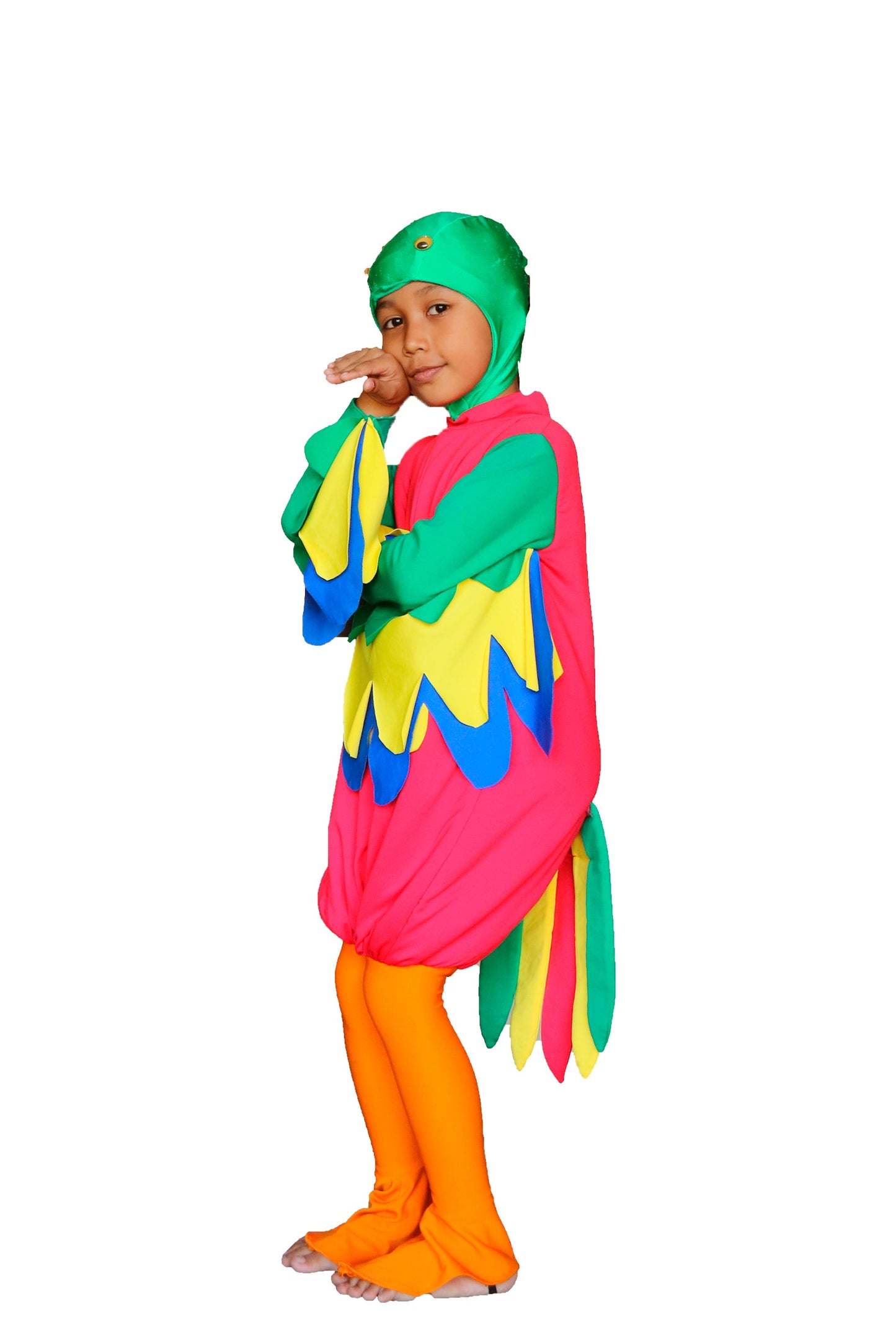 Parrot K02
