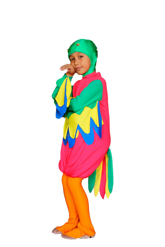 Parrot K02