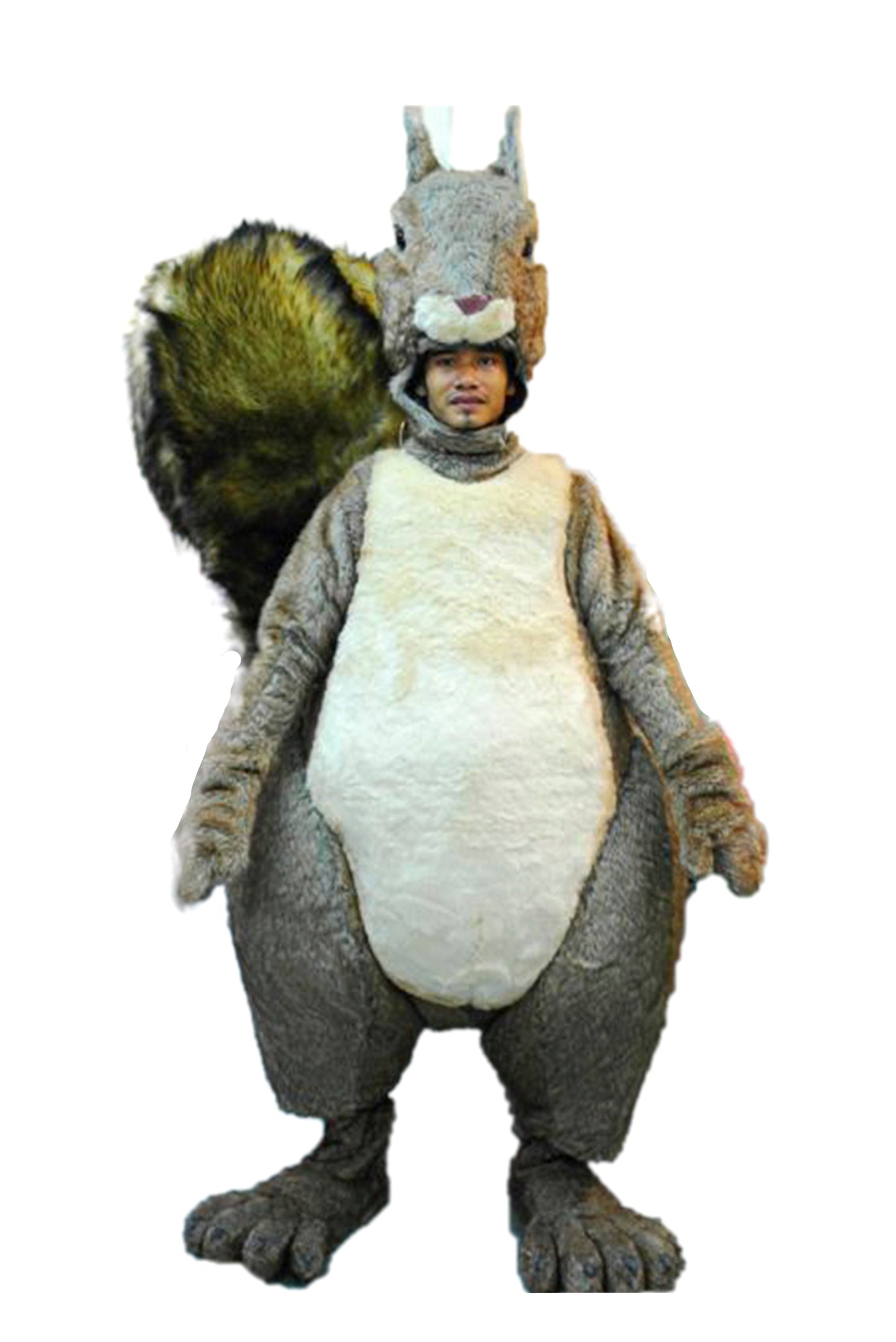 Tupai D01