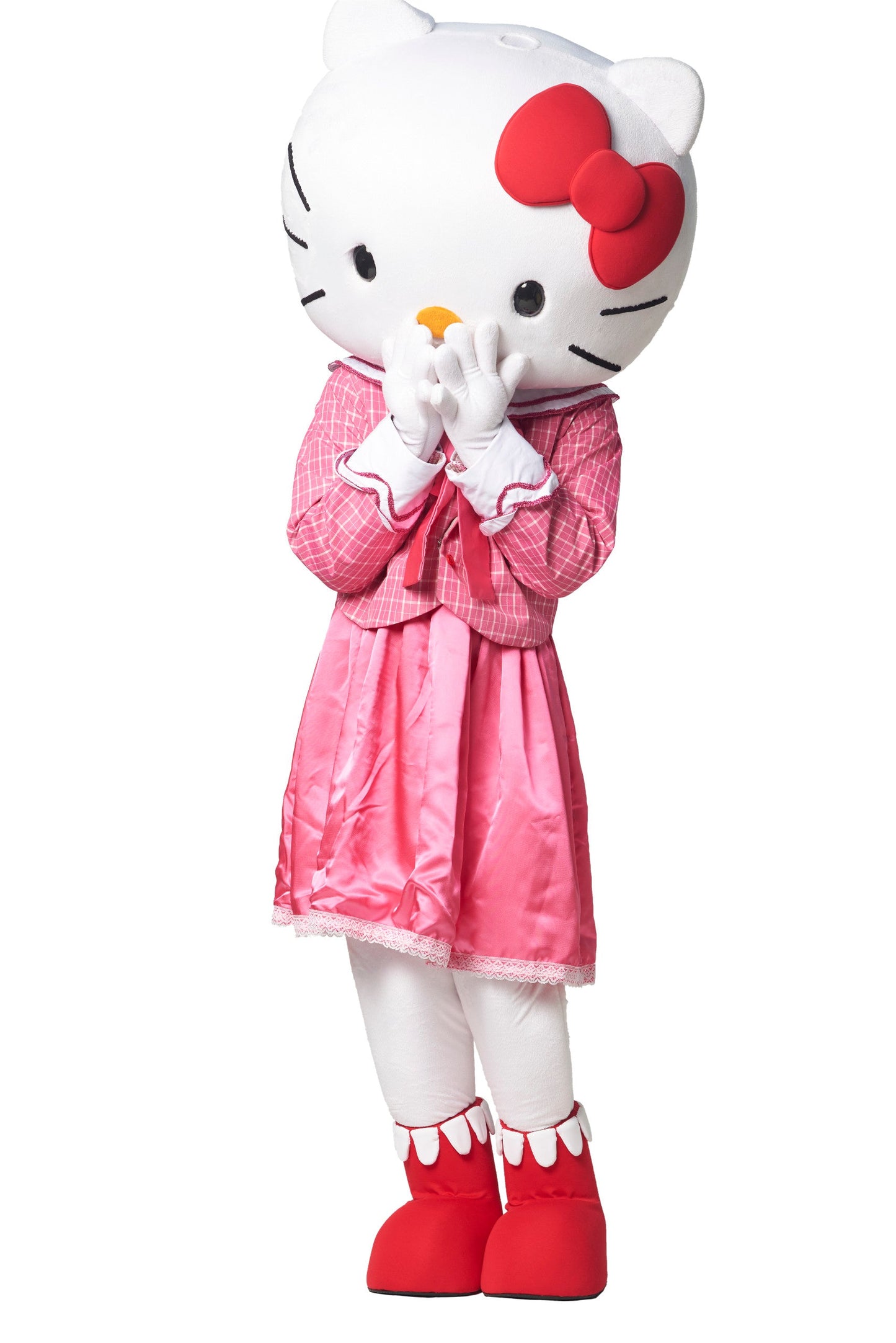 White Cat D01