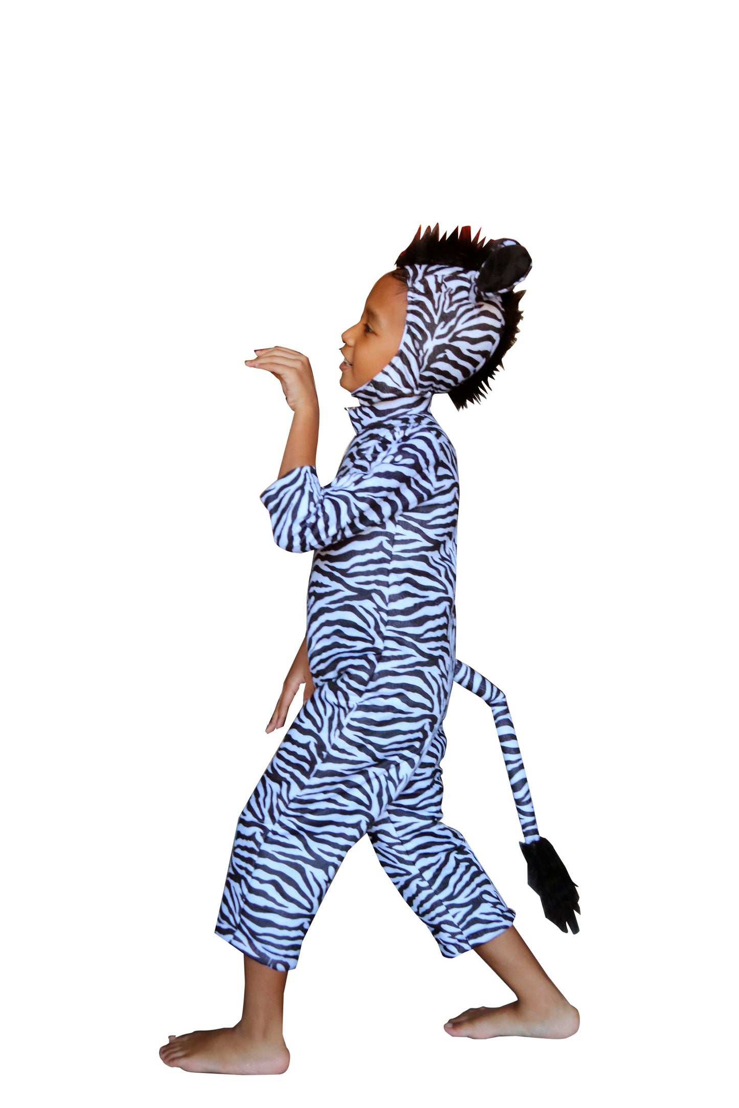 Zebra K01