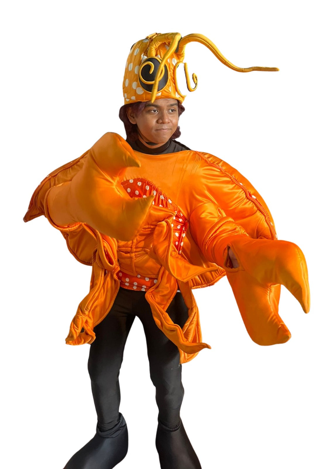 Kepiting D01