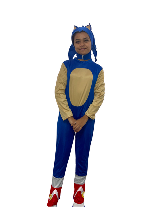 Blue Hedgehog K01