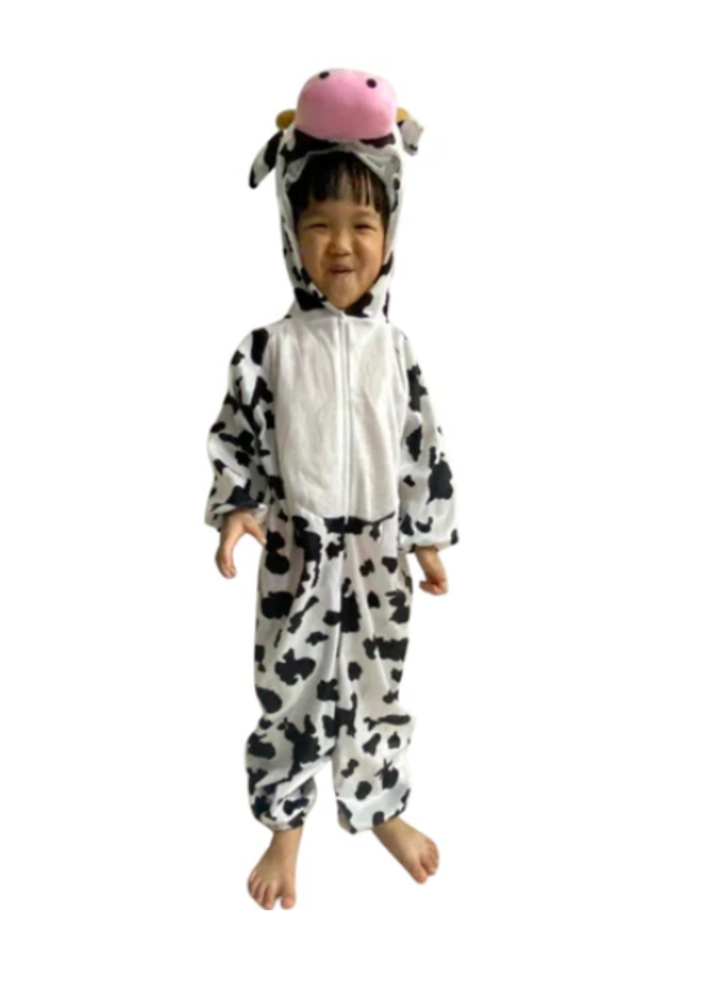 Cow K01