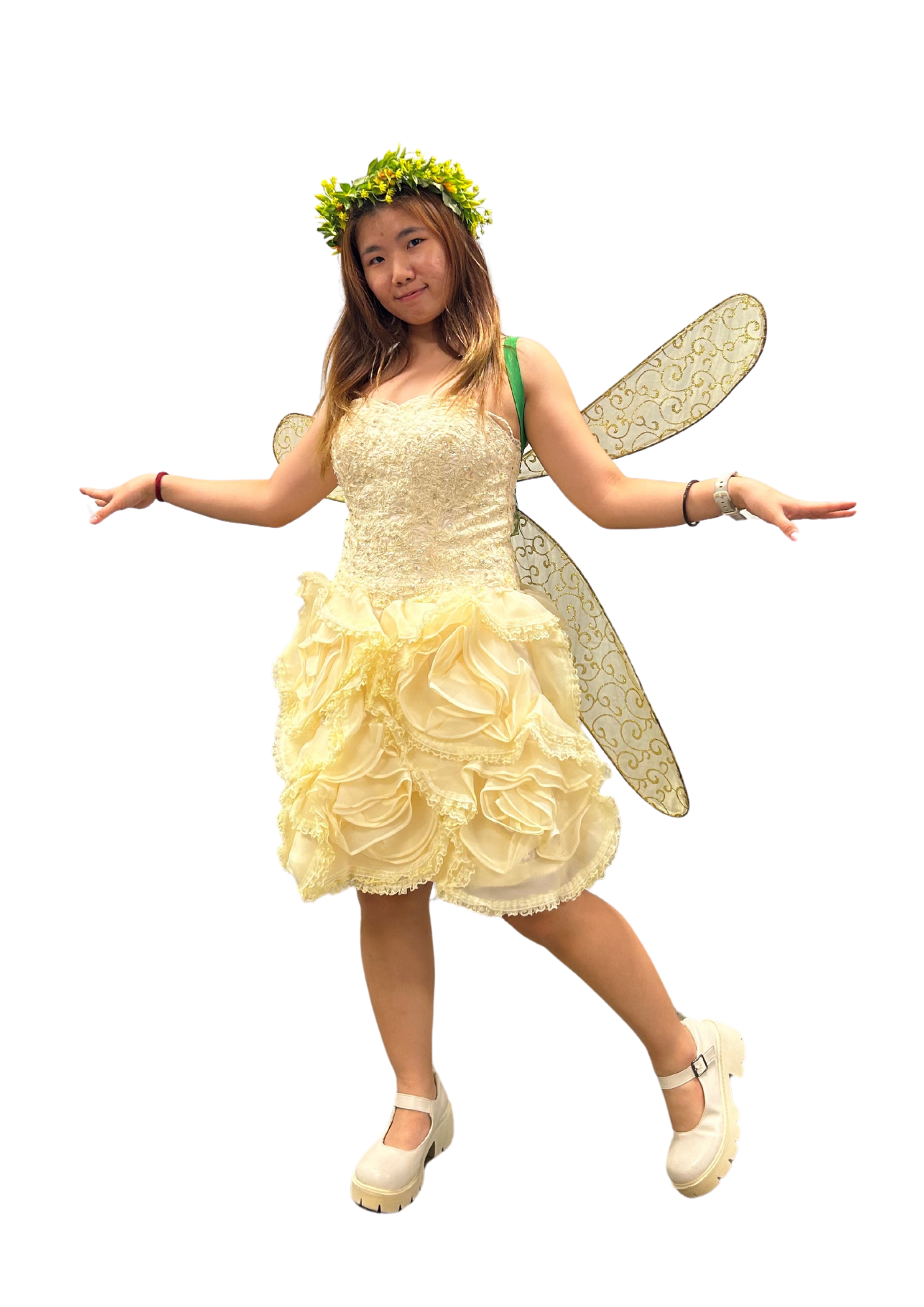 Fairy D11