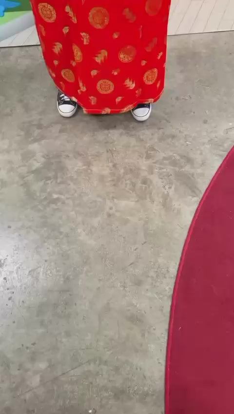 Fu Lu Shou Mascot D01