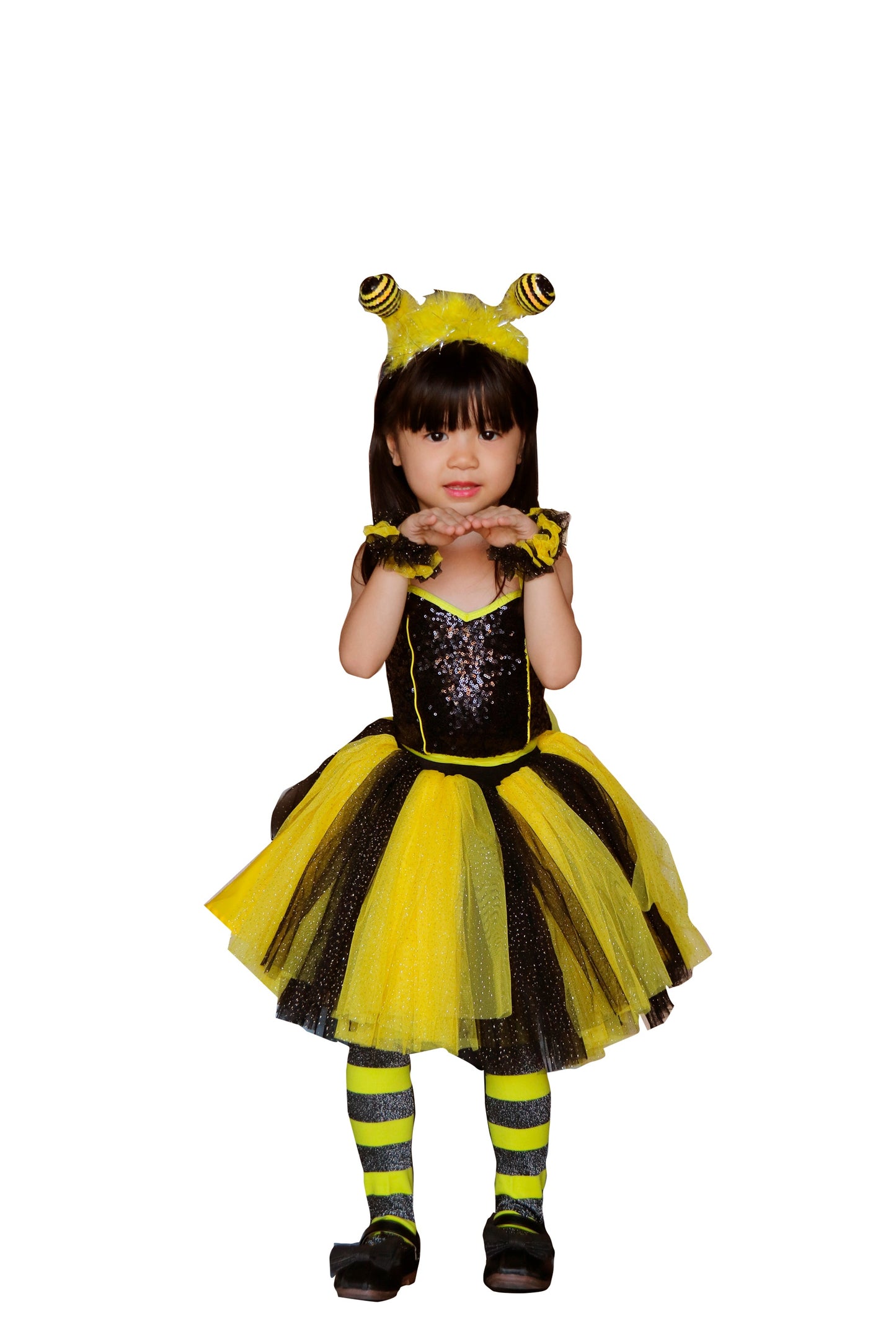 Lebah K01