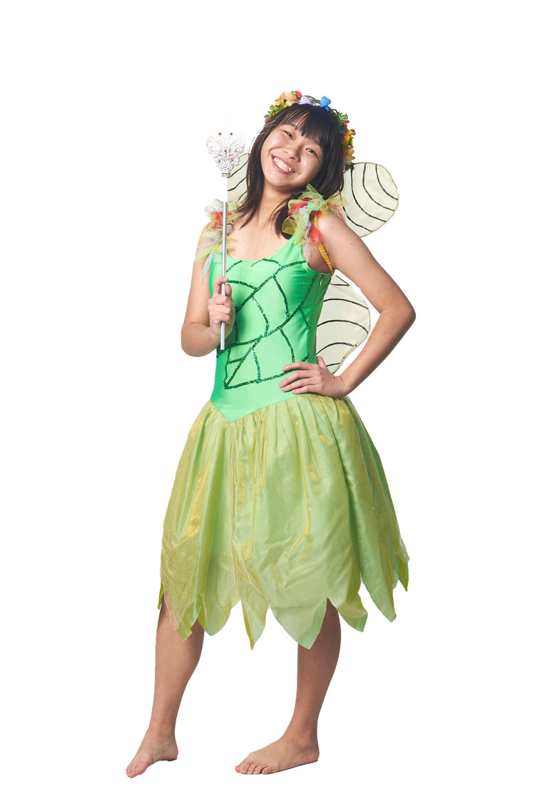Fairy D04