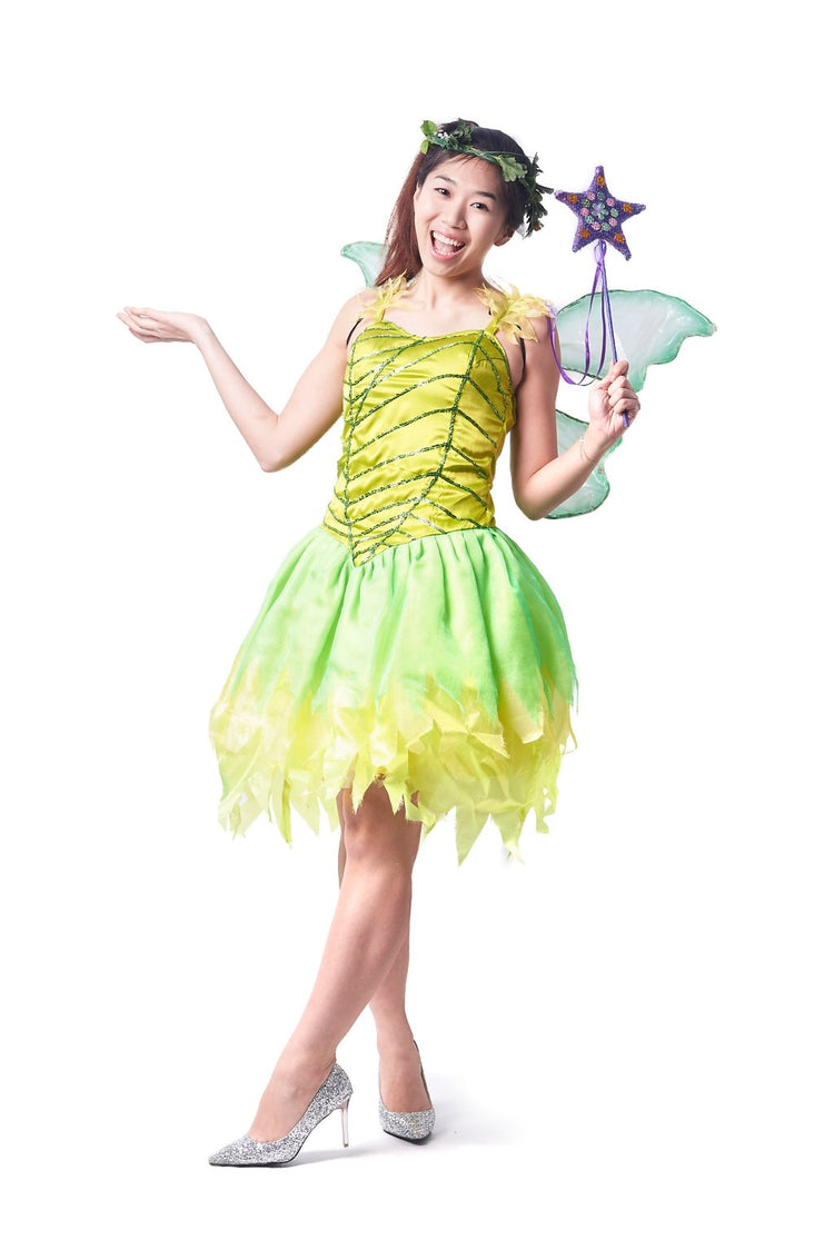 Fairy D08