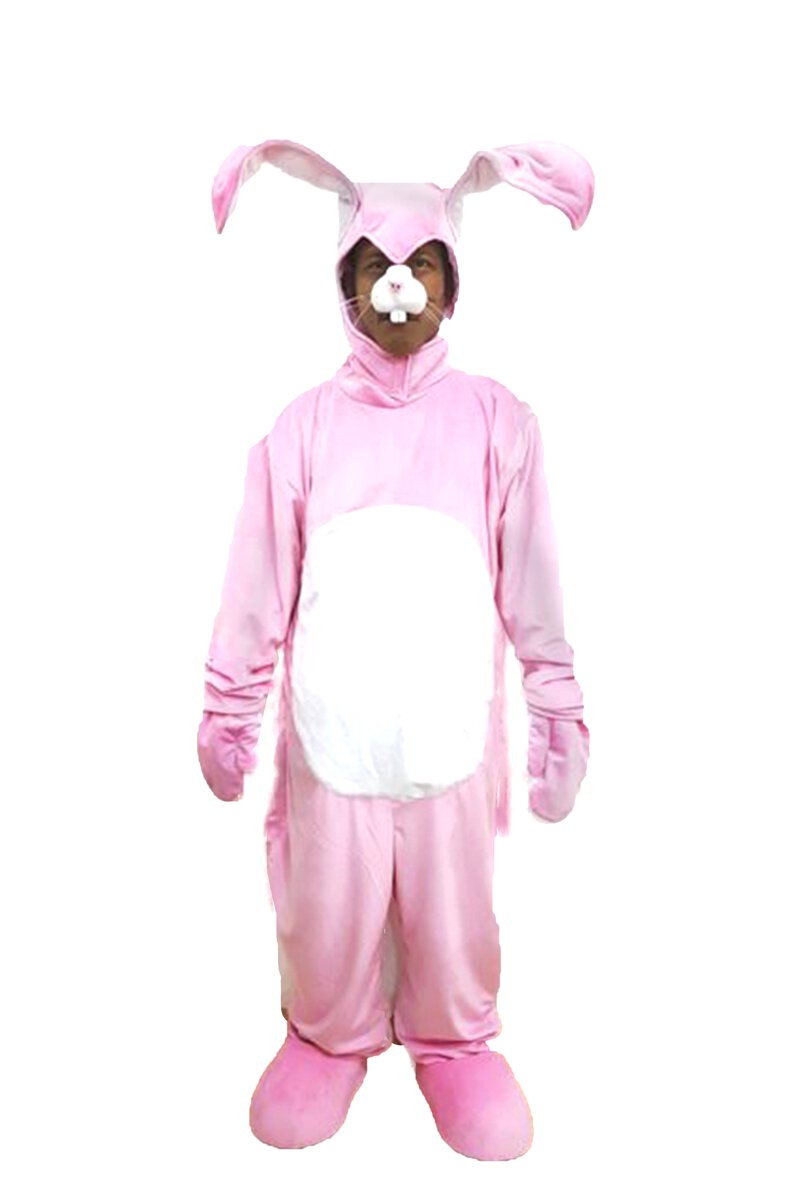 Bunny Mascot (Rabbit) D09